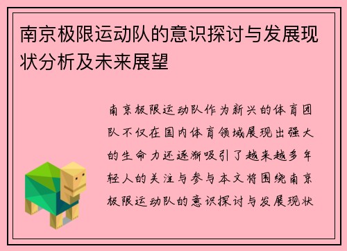 南京极限运动队的意识探讨与发展现状分析及未来展望